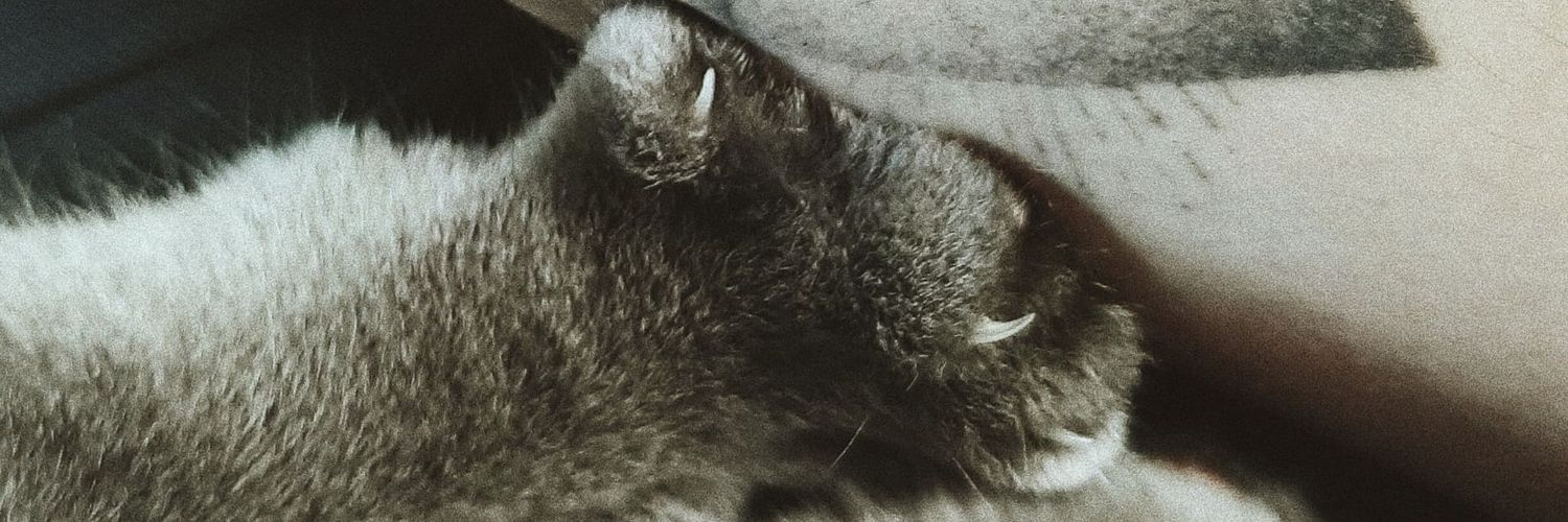 Alex_rml25's profile banner image