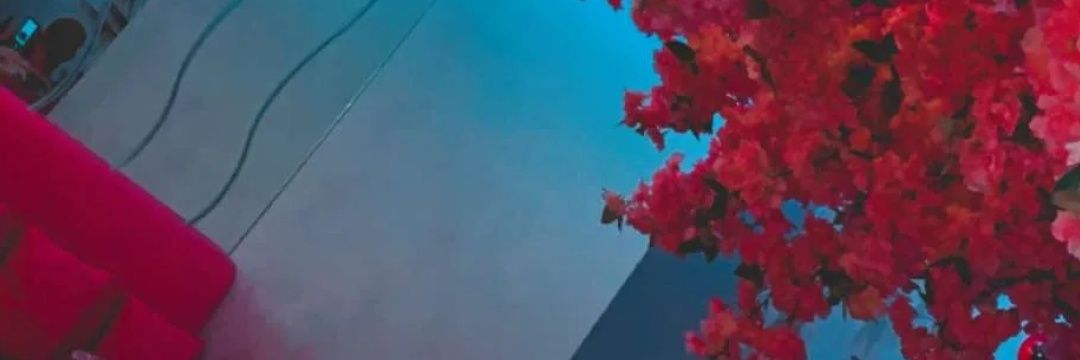 عُمَانَيِة سُلطَانَيِـة🇴🇲 banner