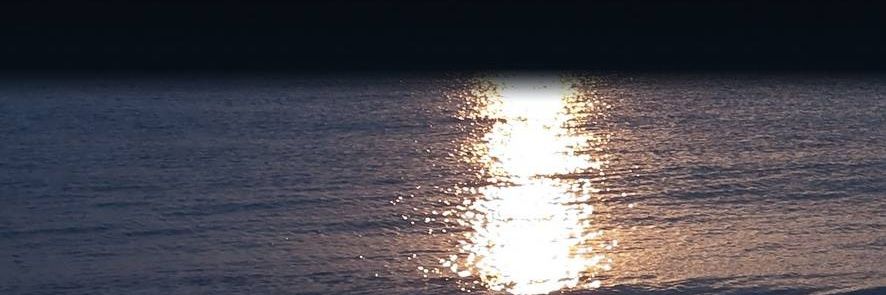 yophope banner