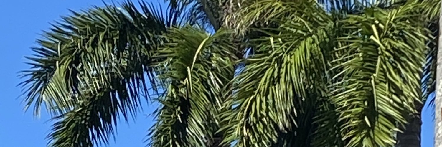 Financials 4 me banner