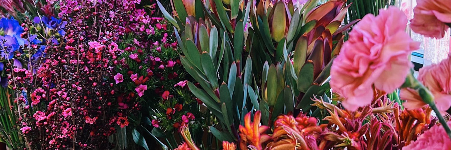 Carla Lemos 🌺✨ banner