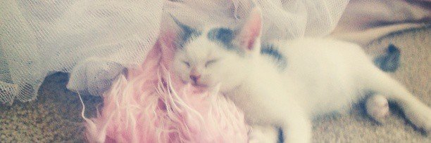 𝓛𝓪𝓬𝔂🎀 banner