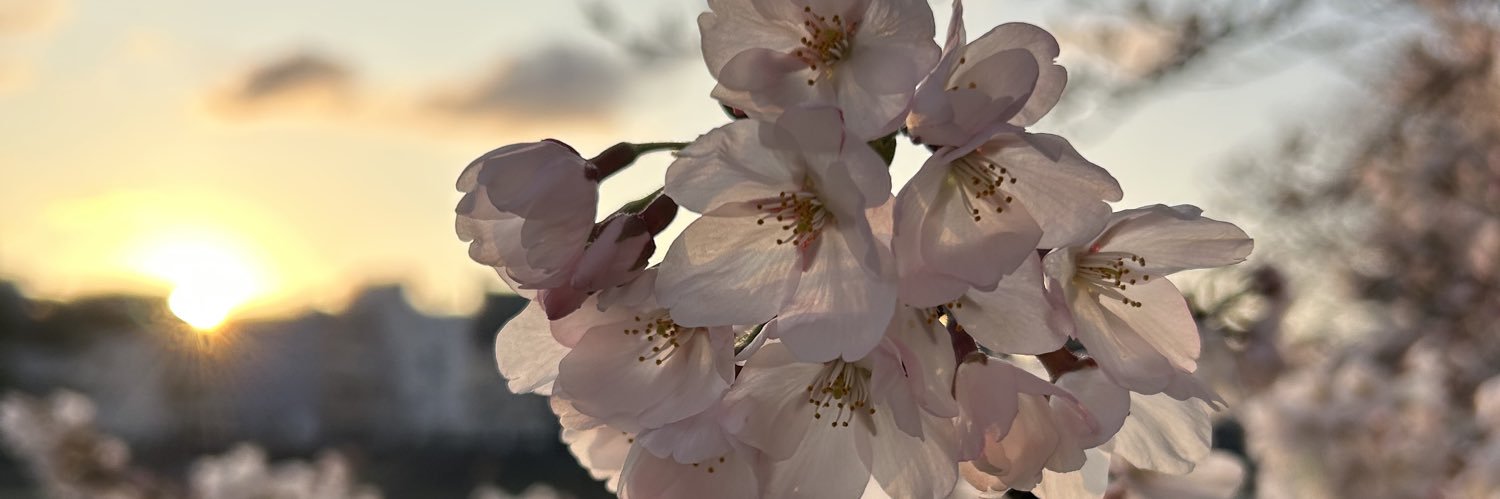 お い も 🎲 banner