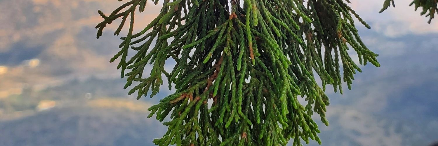 3bode's profile banner image