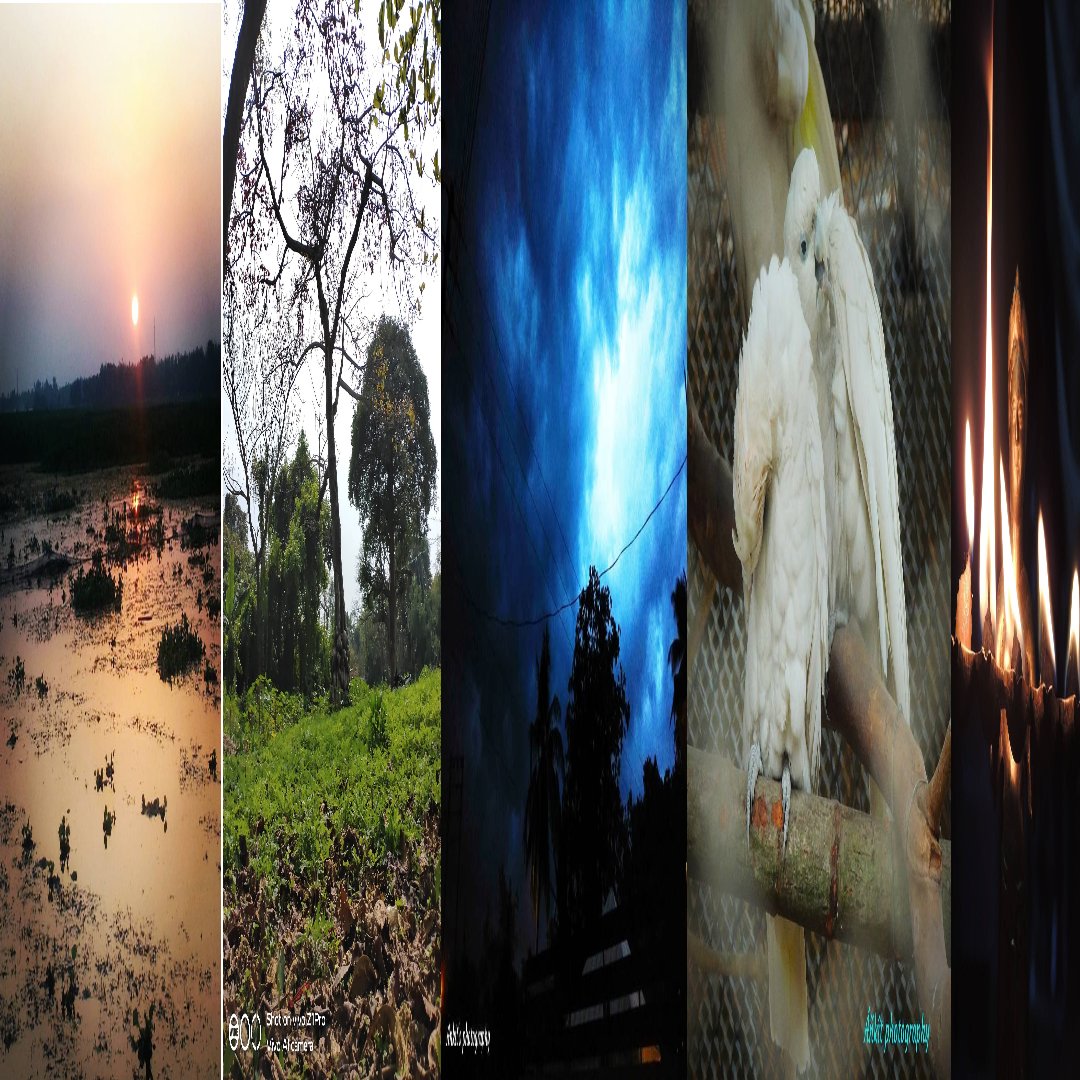PHOTOM4N banner