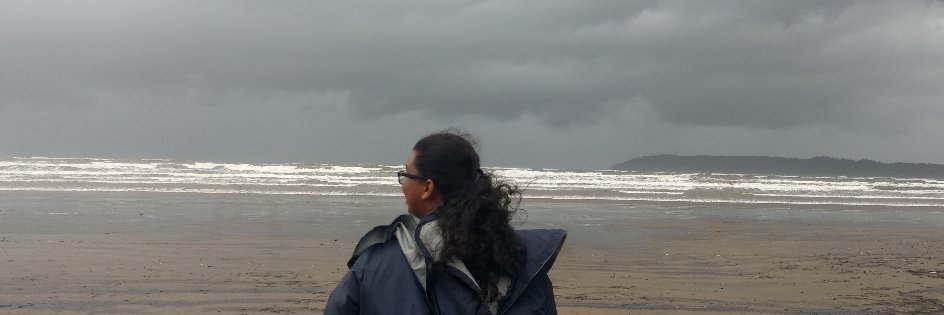 NirvishaB's profile banner image