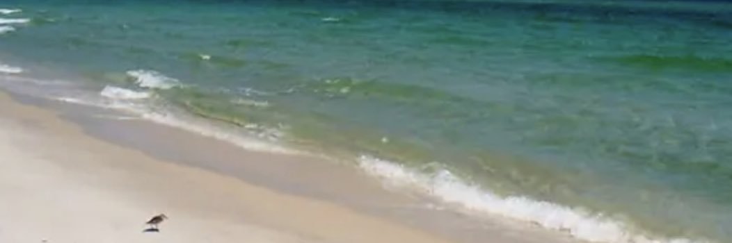 Writing Away Refuge banner