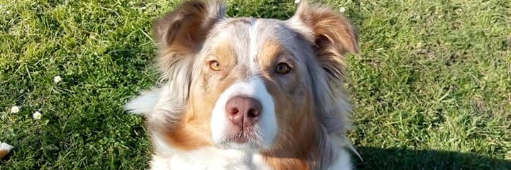 MissaMBK's profile banner image