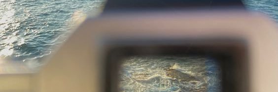 colenicol's profile banner image