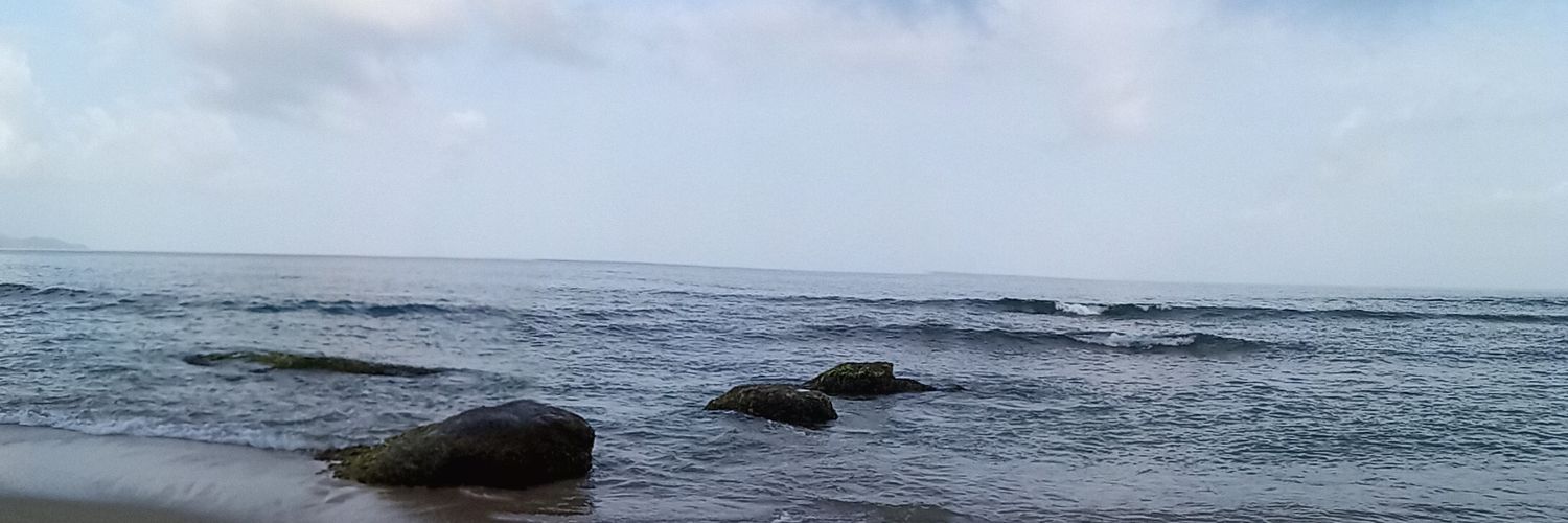 Edusagi's profile banner image