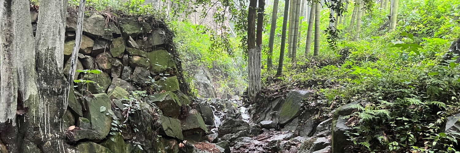 跳探戈的樱花💎🌐 banner