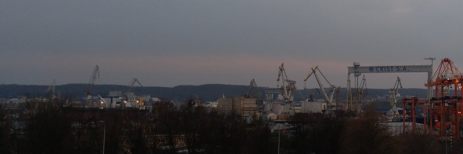 ALichnerowicz's profile banner image