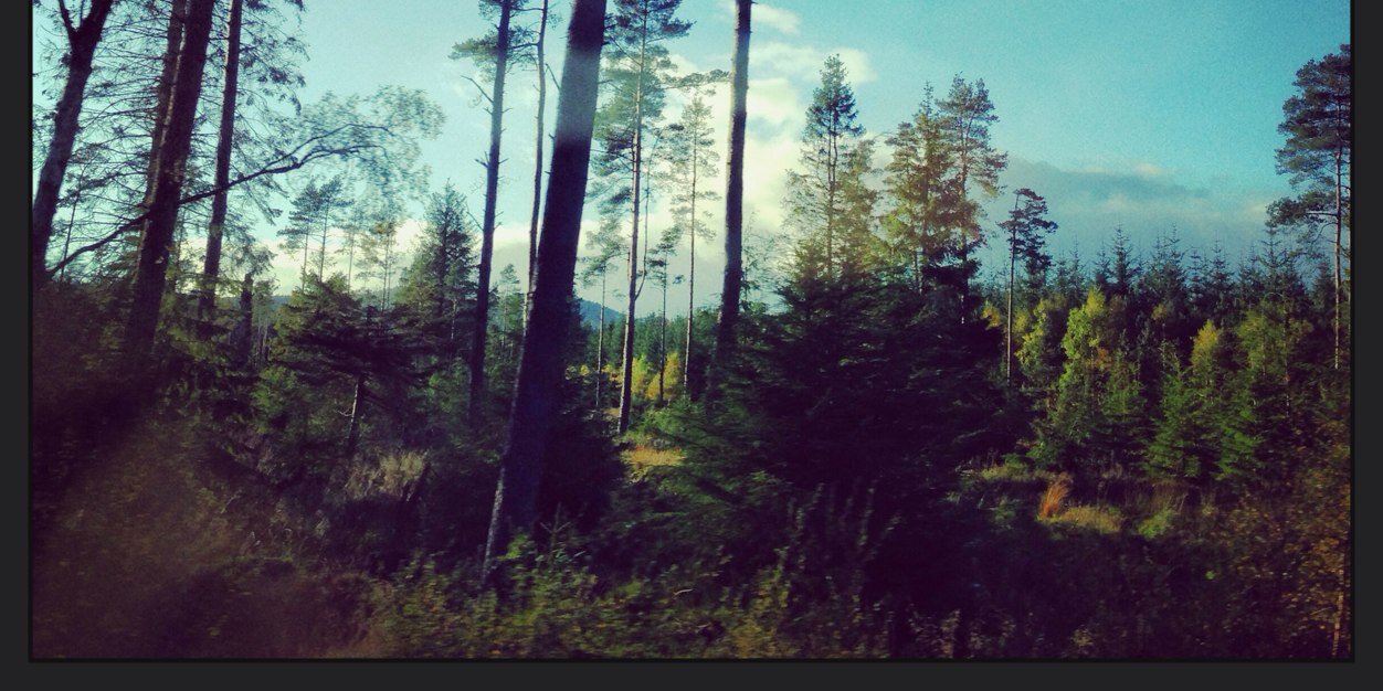 _FayeGibson's profile banner image