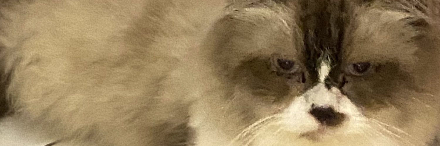 Nursshuhada_'s profile banner image