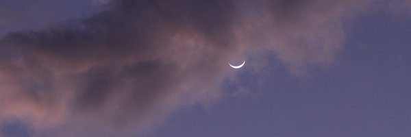 paudepaulax Profile Banner