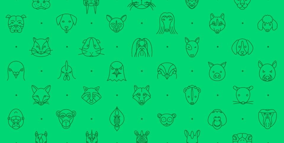 Busteed's profile banner image