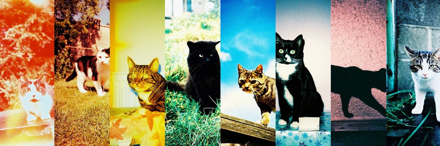 dazb's profile banner image