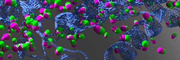 NeuroTransETN Profile Banner