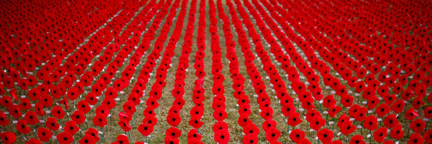 In_Flanders_fields banner