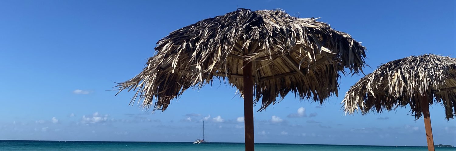 Reese makes em laugh banner