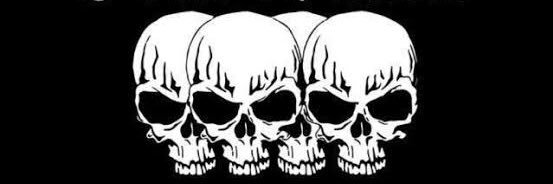 cryptoSkull banner
