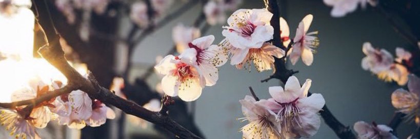 Catch Your Wave ☀️ banner