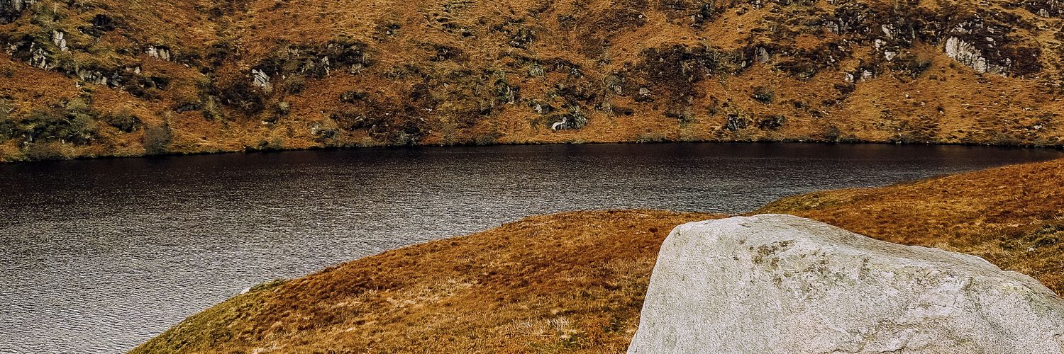 MatildeValg's profile banner image