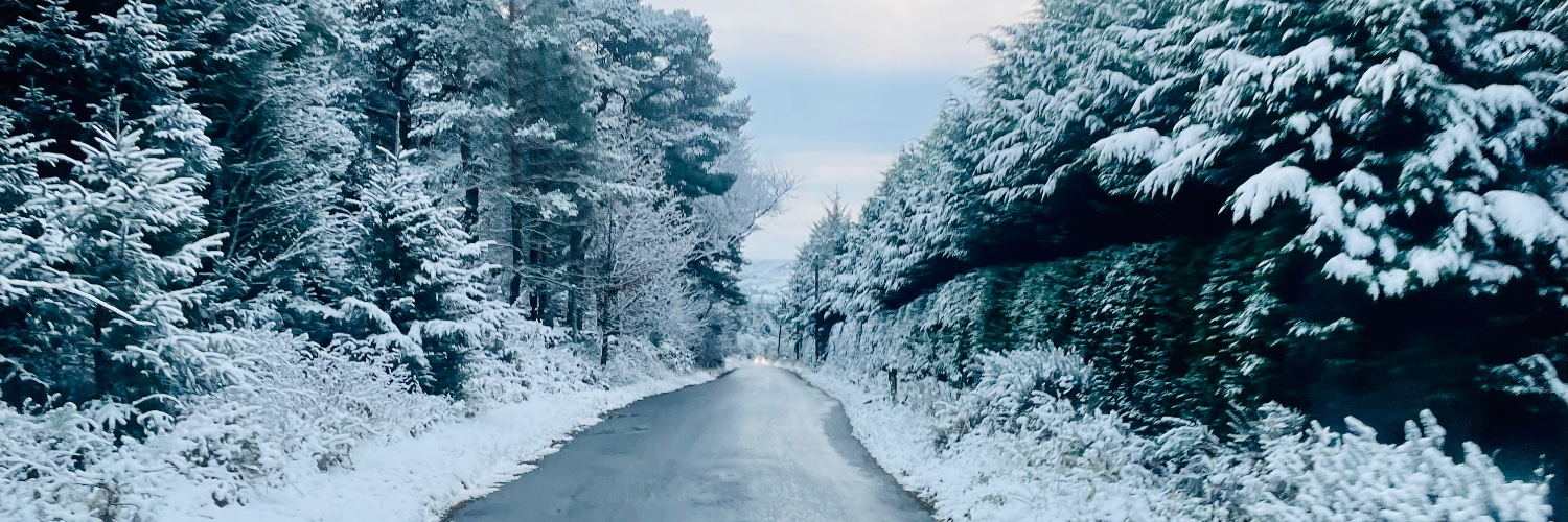 lex_Dew's profile banner image