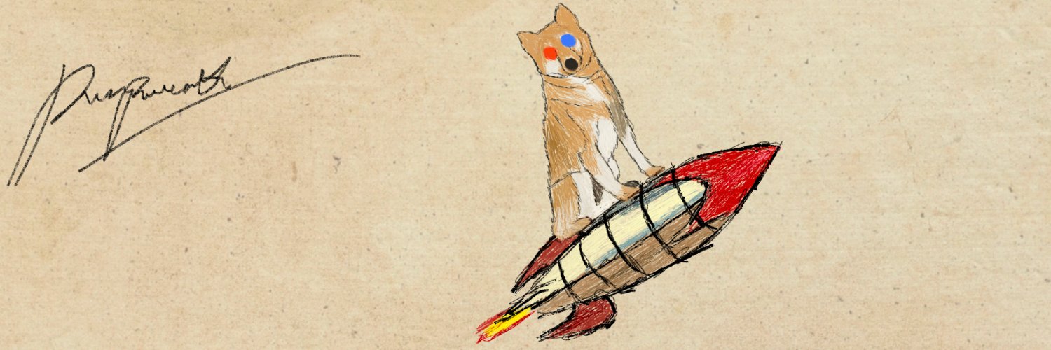 MettiInu's profile banner image