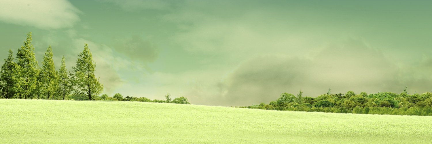 teeoff1872's profile banner image