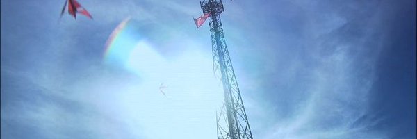 unmasked_taro Profile Banner