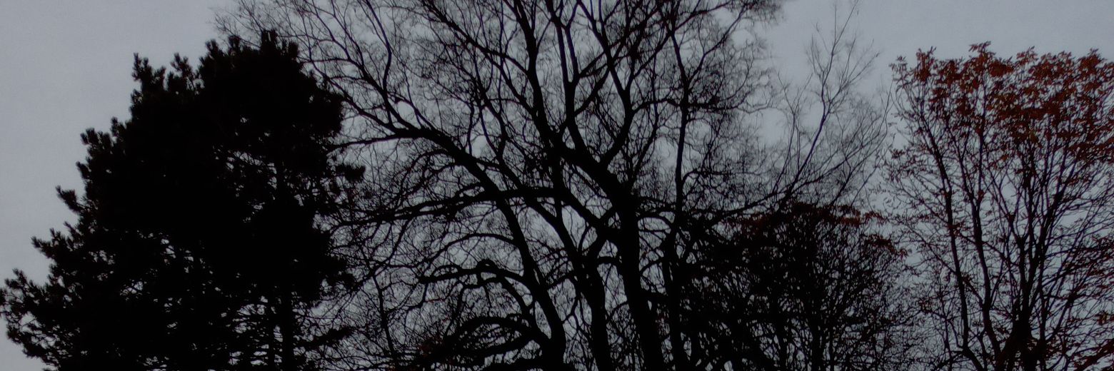 мимимима banner