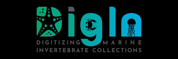 DigInverts Profile Banner