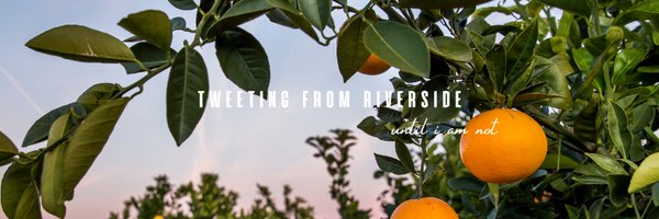 decart Profile Banner