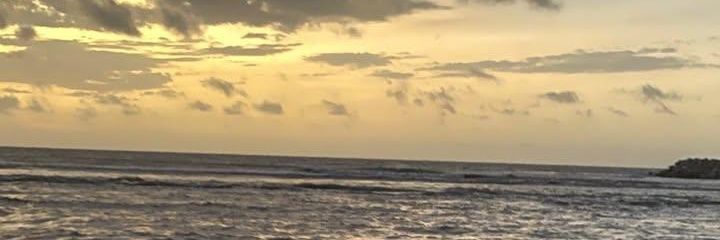 nosoyandy2's profile banner image