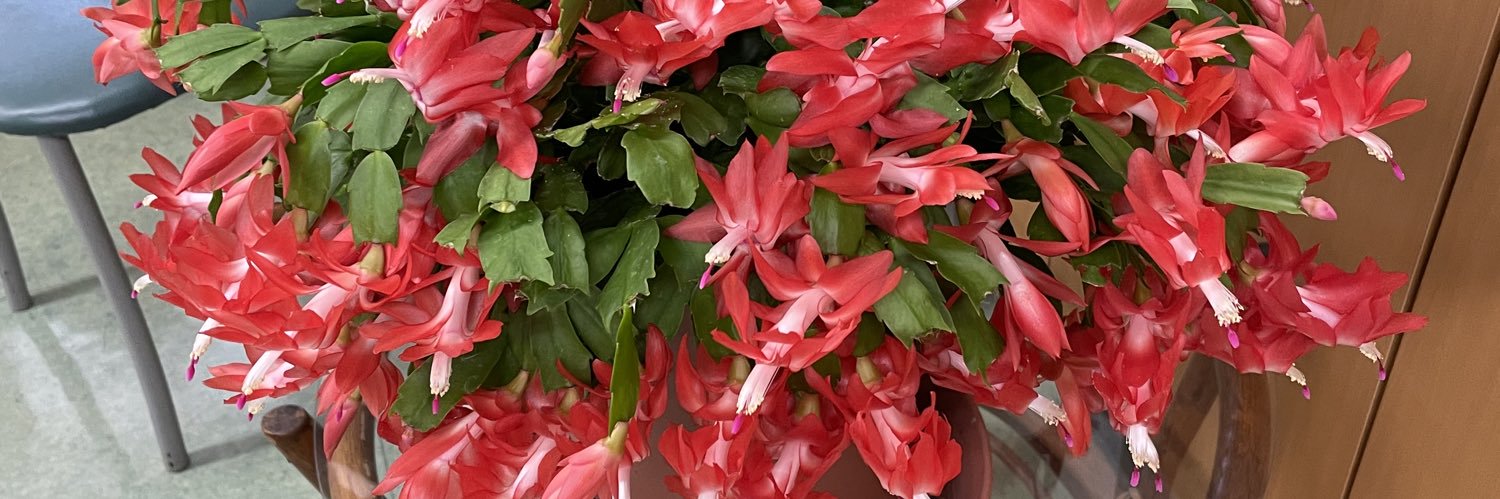 変な親父です。 banner