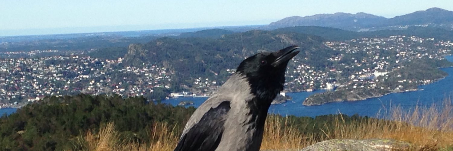 barndonM's profile banner image