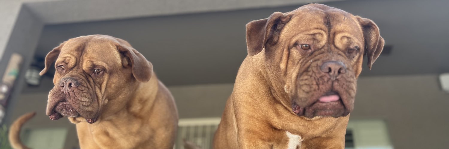 James Out West banner