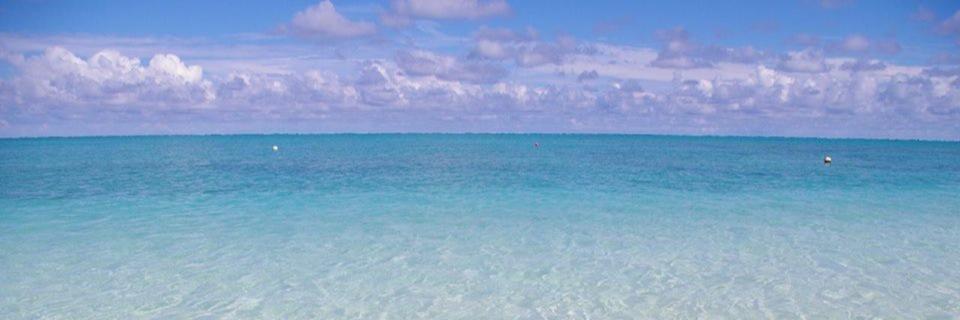 yunandy_68's profile banner image