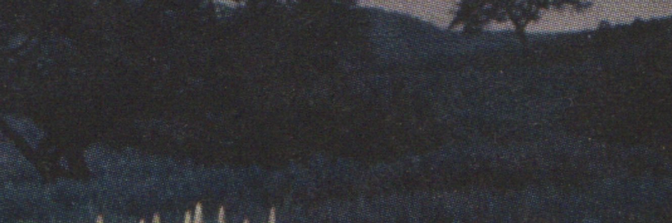dn_ddnd's profile banner image