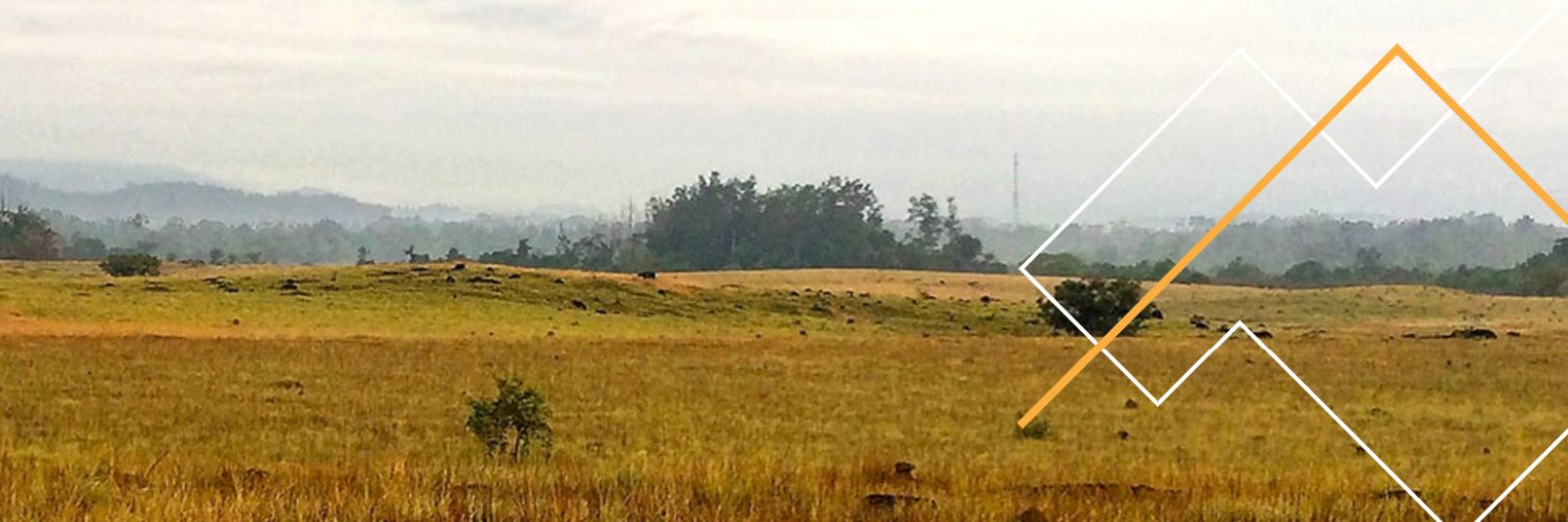 Trek Metals Ltd banner