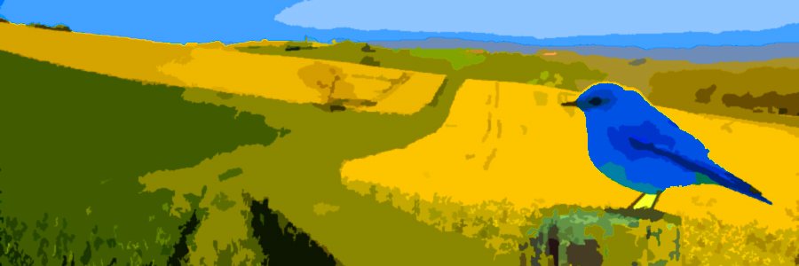 LweeLongchamps's profile banner image