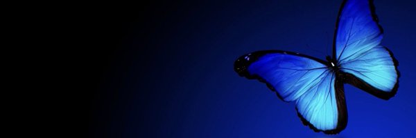 MMAT_MMTLP_JEDI Profile Banner