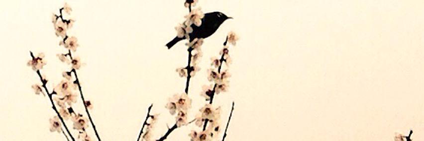 みおな banner