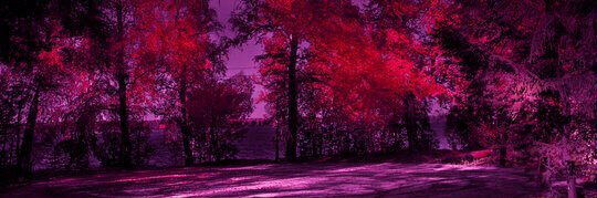 Haunted_Wolf_'s profile banner image