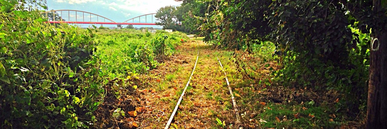 railwayline's profile banner image