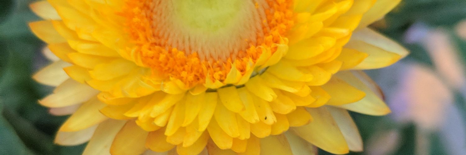 cerabeanz's profile banner image