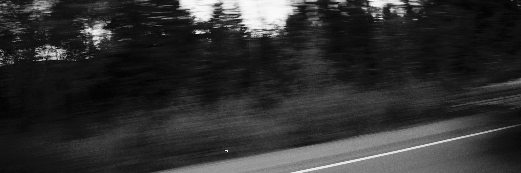 paulschonfeld's profile banner image
