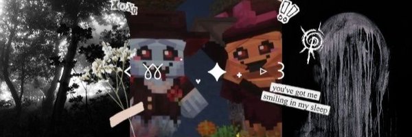 stqrclzs Profile Banner