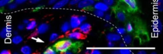 Tej Pratap Singh banner